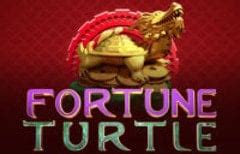 Jogue Fortune Turtle Online