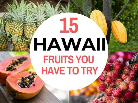 Jogue Hawaiian Fruits Online