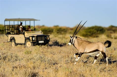 Kalahari Safari Betsson