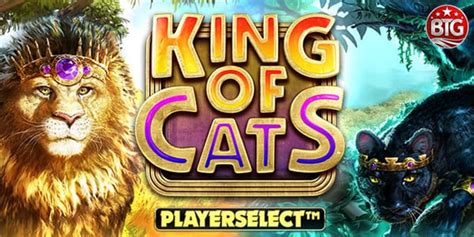 King Of Cats Megaways Betsson