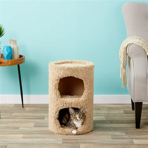 Kitty Condo Review 2024