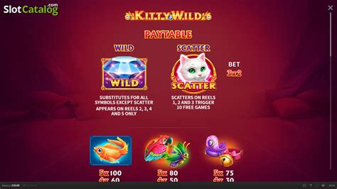 Kitty Wild Review 2024