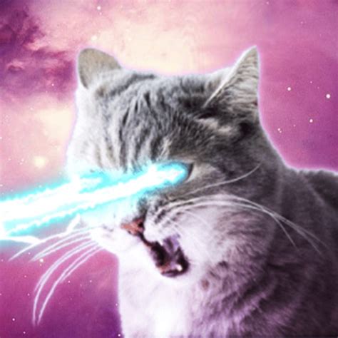 Laser Cats Sportingbet