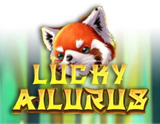 Lucky Ailurus Review 2024