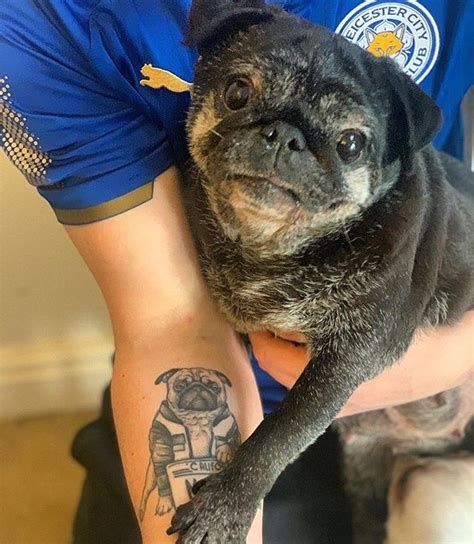 Lucky Pug Betsul