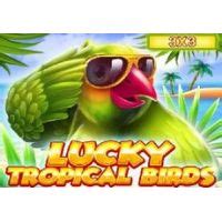 Lucky Tropical Birds 3x3 Slot Gratis