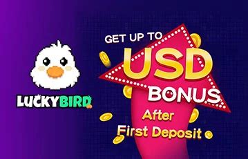 Luckybird Io Casino Paraguay