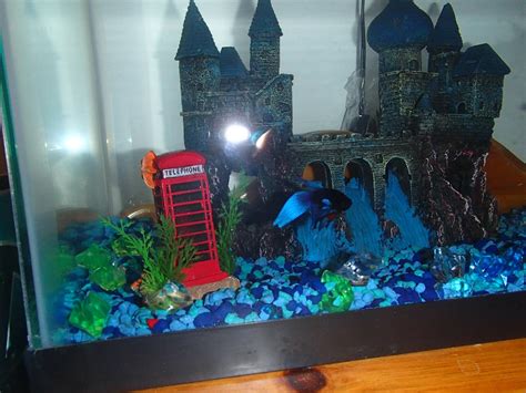 Magical Fish Tank Brabet