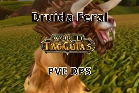 Melhor No Slot De Druida Feral 5 4