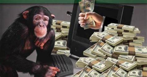 Money Monkey Betsul