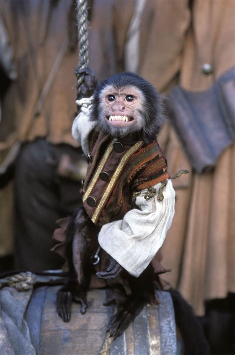 Monkey Pirates Leovegas