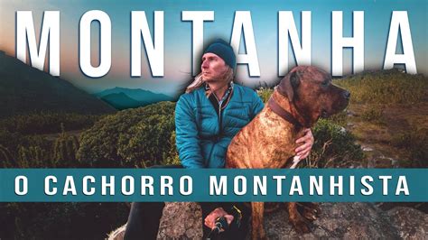 Montanhista Casino Corridas De Caes