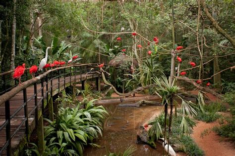 Monte Casino Parque Das Aves Custo