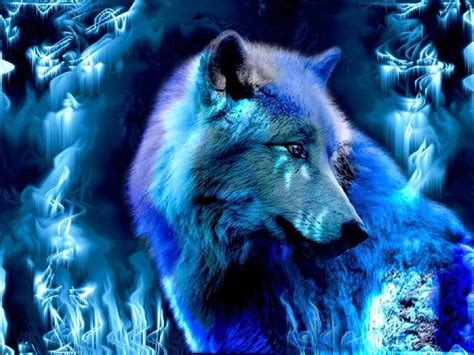 Mystic Wolf Bodog