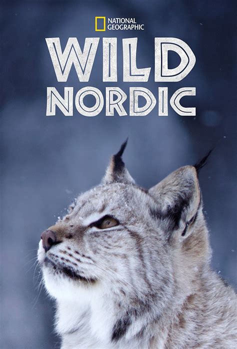 Nordic Wild 1xbet