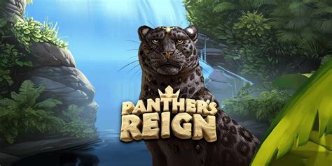 Panther S Reign Betfair