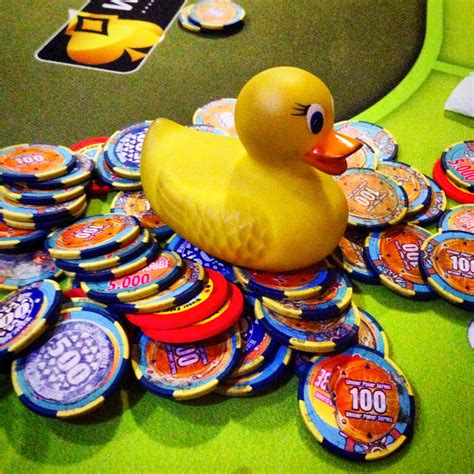 Pato Sopa De Poker