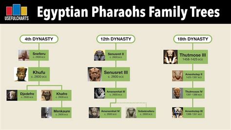Pharaoh S Reign Novibet