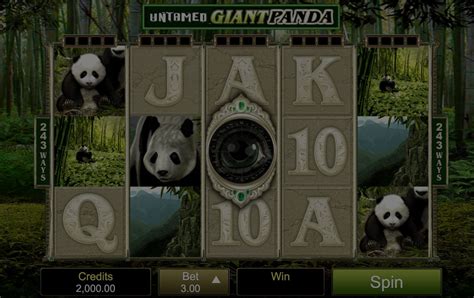 Play Untamed Giant Panda Slot