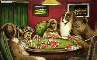 Poker Doge