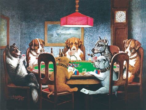 Poker Imagem De Caes