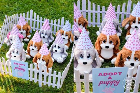 Puppy Party Review 2024