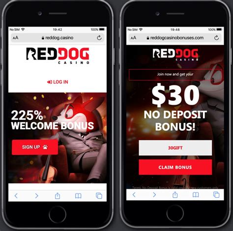 Red Dog Casino Mobile