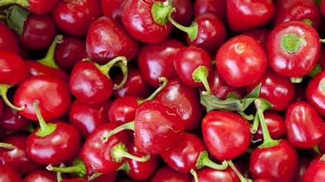 Red Hot Cherry Betsul