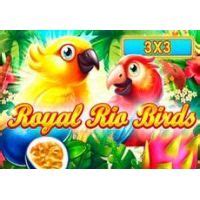 Royal Rio Birds 3x3 Betano