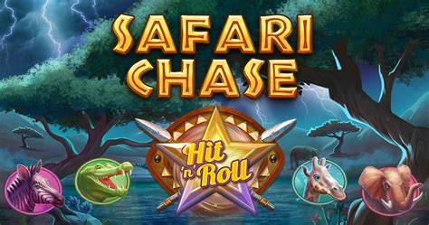 Safari Chase Betfair