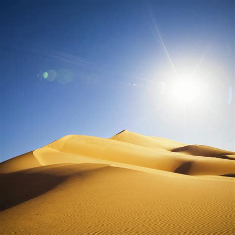 Sahara Sun Bodog