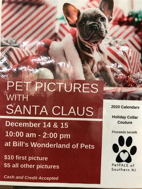 Santa Pets Review 2024