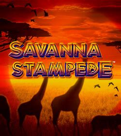 Savanna Stampede Brabet