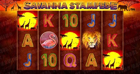 Savanna Stampede Bwin