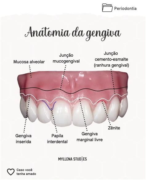 Seis Ranhura Da Moldura Da Imagem