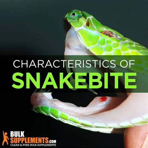 Snakebite Parimatch
