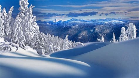 Stunning Snow Betsul