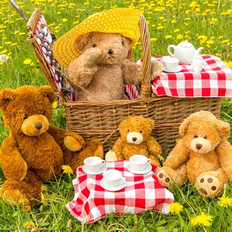 Teddy Bears Picnic Betano