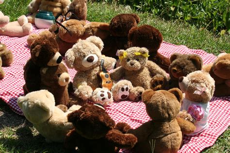 Teddy Bears Picnic Betsul