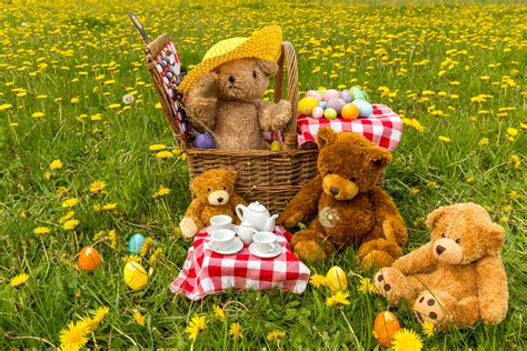 Teddy Bears Picnic Leovegas