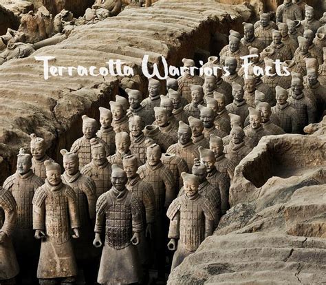 Terracotta Army Review 2024