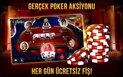 Texas Holdem Poker Oyunu