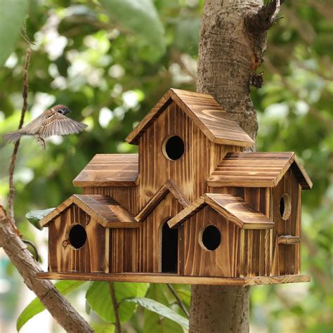 The Bird House Parimatch