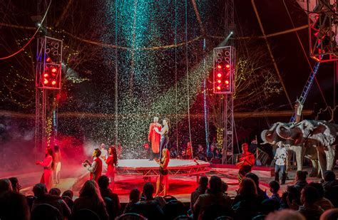 The Circus Night Novibet