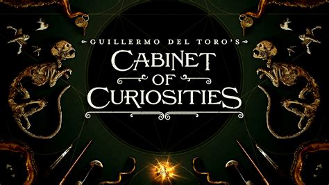 The Curious Cabinet Novibet