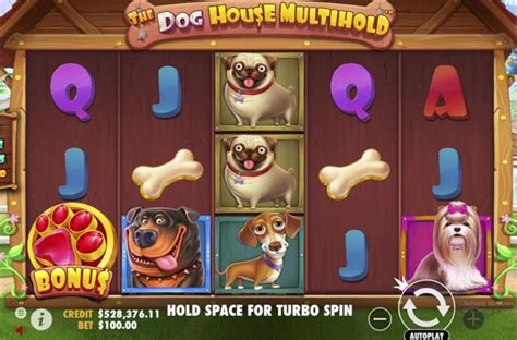 The Dog House Multihold 1xbet