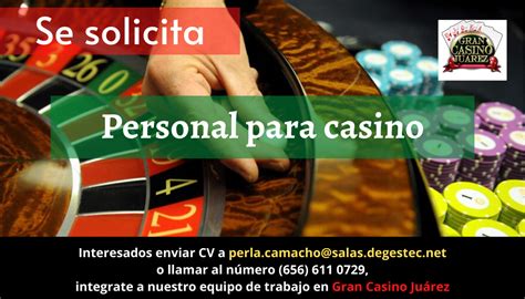 Twin Leoes Casino Empleo