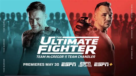 Ultimate Fighter Bet365