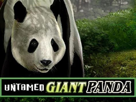 Untamed Giant Panda Parimatch