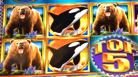 Urso Kodiak Slots